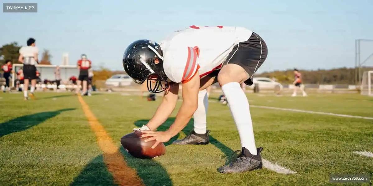 行业领先的理由